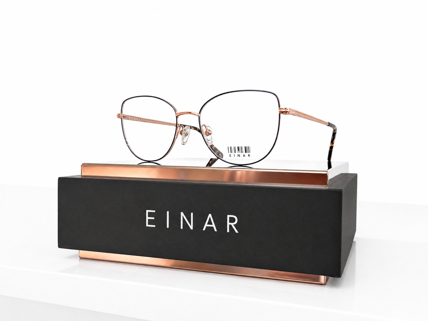 Einar Model 10
